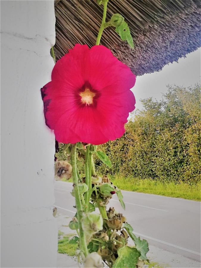 דירות Morud The Whispering Apple Garden Retreat מראה חיצוני תמונה